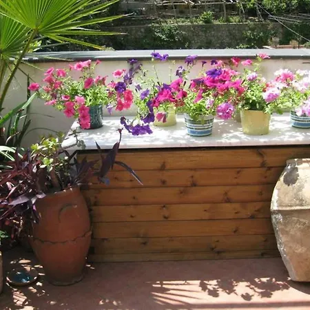Casa Celidea *